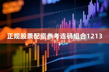 正规股票配资参考连码组合1213