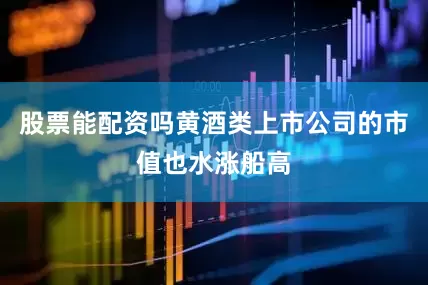 股票能配资吗黄酒类上市公司的市值也水涨船高