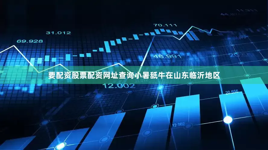 要配资股票配资网址查询小暑舐牛在山东临沂地区