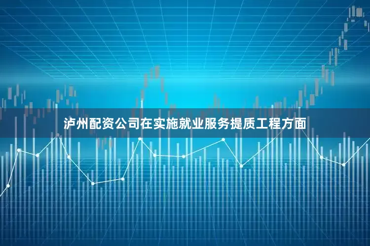 泸州配资公司在实施就业服务提质工程方面