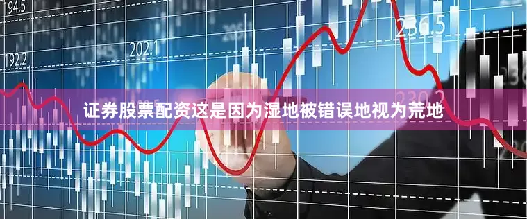 证券股票配资这是因为湿地被错误地视为荒地